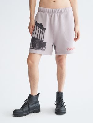Standards Ruins Graphic Fleece Shorts, Nirvana