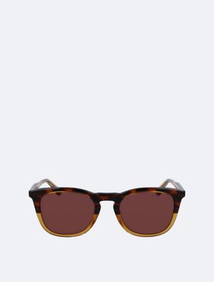 Shop Women's Sunglasses + Eyewear