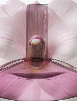 Perfume Calvin Klein Sheer Beauty Eau de Toilette - Euphoria