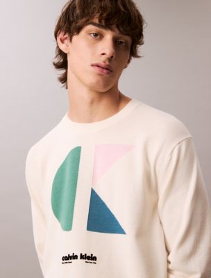 Мужские свитеры Calvin Klein Colorblock Logo Graphic Classic Sweater — фото 2