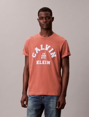 Varsity Logo Graphic Relaxed T-Shirt, Warm Brick
