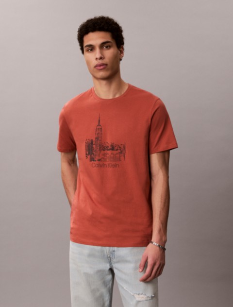 Мужские футболки Calvin Klein City Graphic Classic T-Shirt