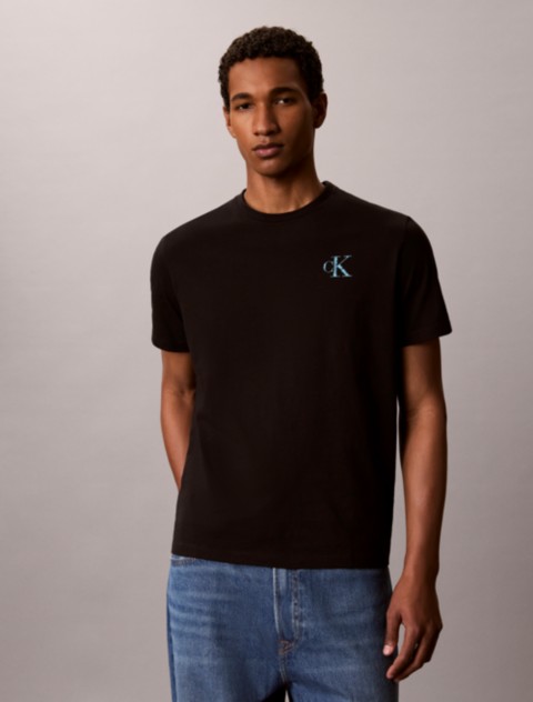 Мужские футболки Calvin Klein Brushstroke Monologo Graphic Tee