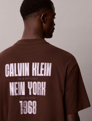 Мужская футболка Calvin Klein Relaxed Bold Logo Graphic, цвет: Коричневый — фото 2