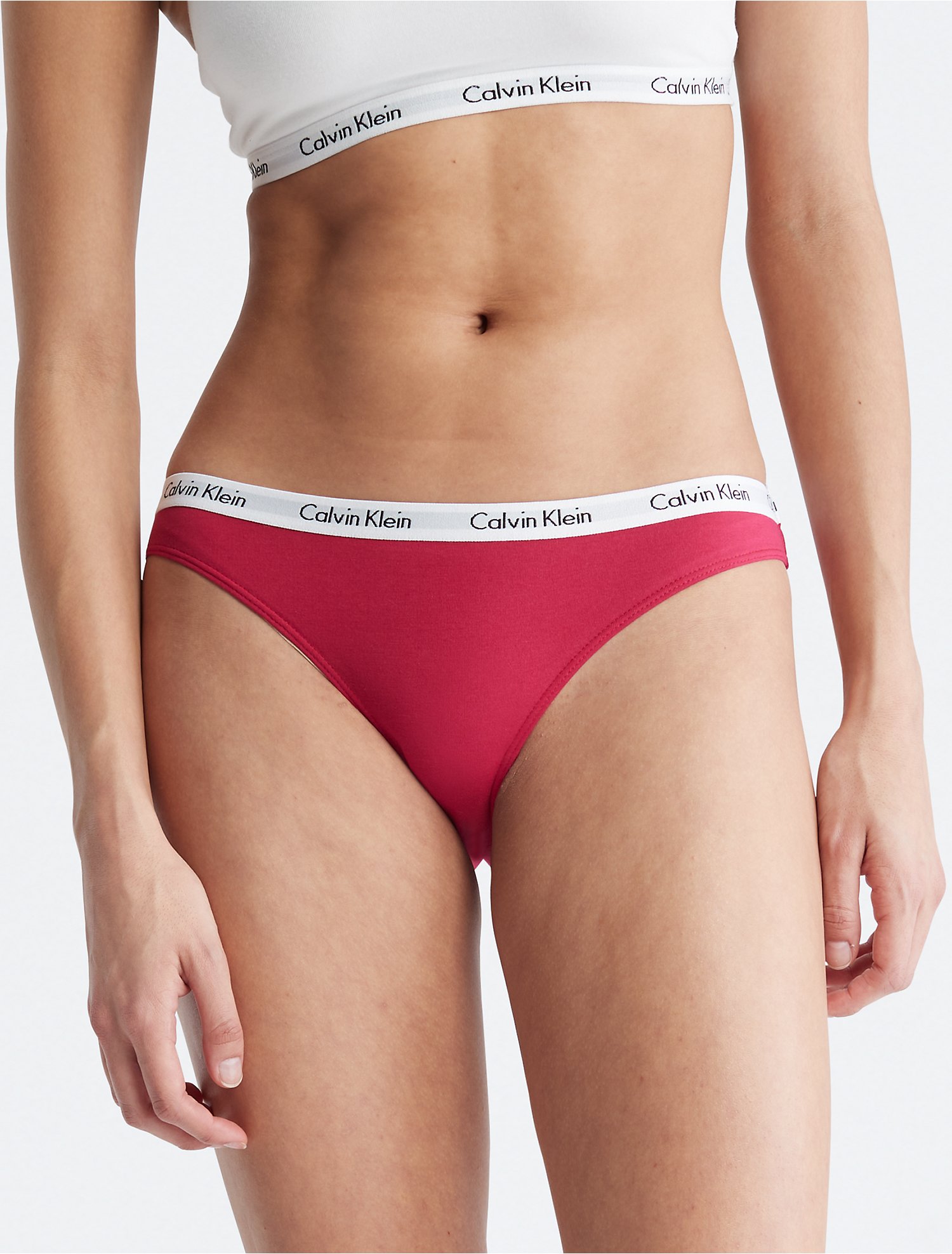 liefdadigheid Pech gemeenschap Pride Carousel Logo Cotton 5-Pack Bikini | Calvin Klein® USA