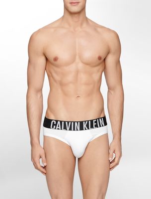calvin klein men's swim brief