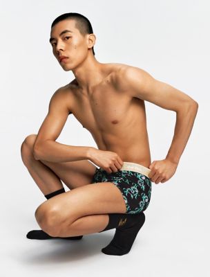 Buy Calvin Klein Dragon Printed Hipster Briefs - Calvin Klein Underwear  2024 Online