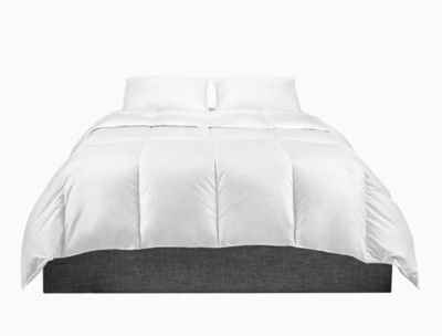 ck embroidered comforter