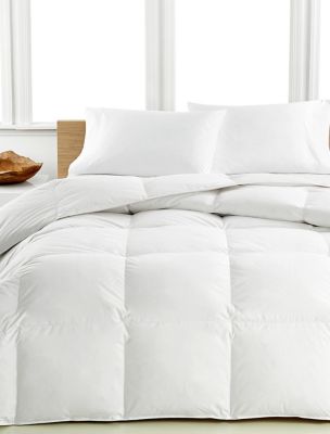 calvin klein cotton comforter