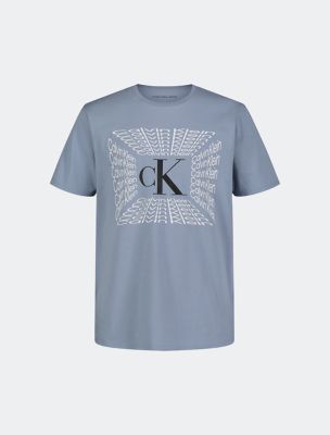 Calvin klein hot sale t shirt boys