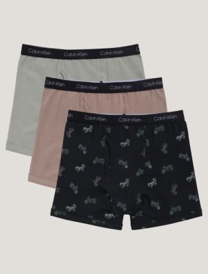 Boys Cotton Stretch 3-Pack Boxer Brief, Dusted Fox Multi