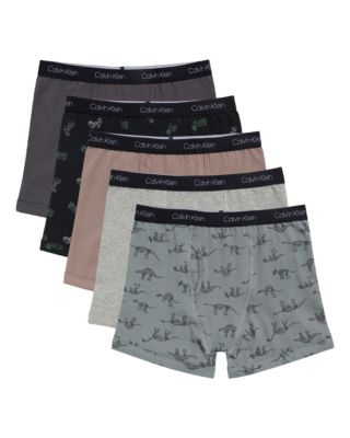Boys 5-Pack Boxer Brief, Trucks Dino