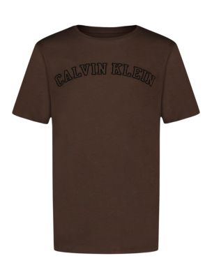 Boys Stencil Logo Crewneck Tee, Brown