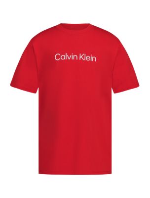 Boys Calvin Klein Logo Tee, Red