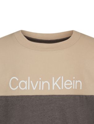 Футболка для мальчиков Calvin Klein в стиле колор-блок из цельных деталей, цвет: Beluga Hthr — фото 3