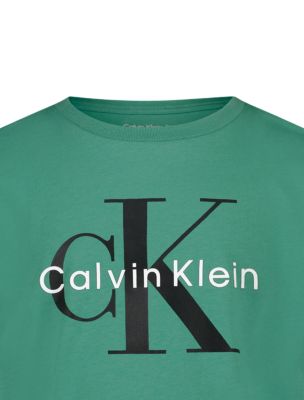 Футболка Calvin Klein Monologo T-Shirt для мальчиков, цвет: Зелёный — фото 4