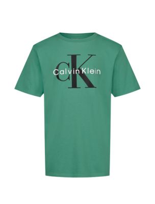 Футболка Calvin Klein Monologo T-Shirt для мальчиков, цвет: Зелёный — фото 1