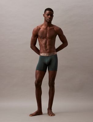 Icon Micro Boxer Brief, Dark Spruce