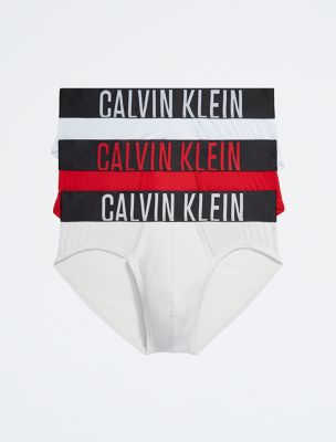 Intense Power Micro 3 Pack Hip Brief, Arctic Ice/Rouge/Lunar Rock