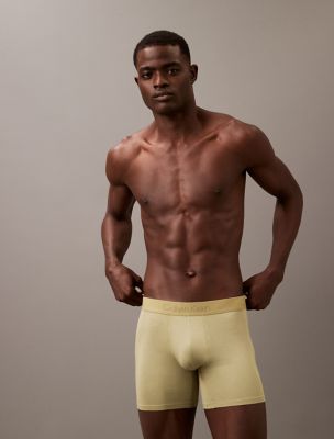 Ultra Soft Modal Boxer Brief, Iguana Gray