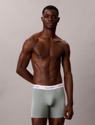 Icon Cotton Stretch Boxer Brief, Chinois Green